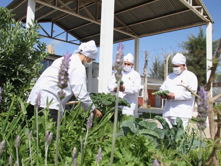 Escuela de Gastronomía CREER: nos preparamos para un nuevo inicio de clases