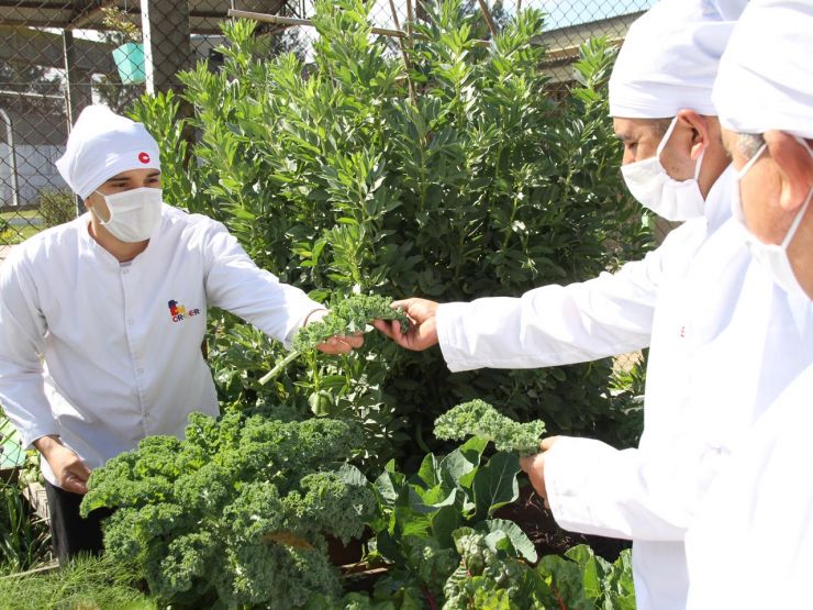 Academia Cook Master. Ya están abiertas las inscripciones para la Escuela de Sustentabilidad.